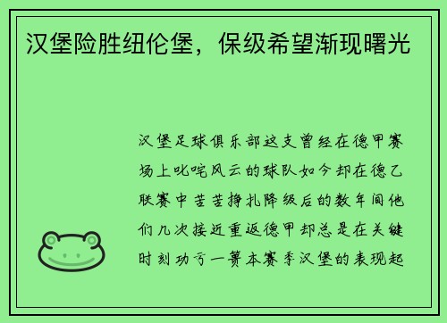 汉堡险胜纽伦堡，保级希望渐现曙光